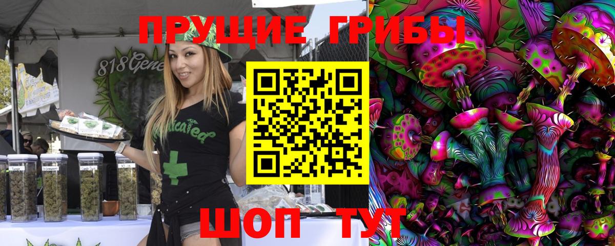 Галлюциногенные грибы GOLDEN TEACHER  Вход с VPN  Клинцы 
