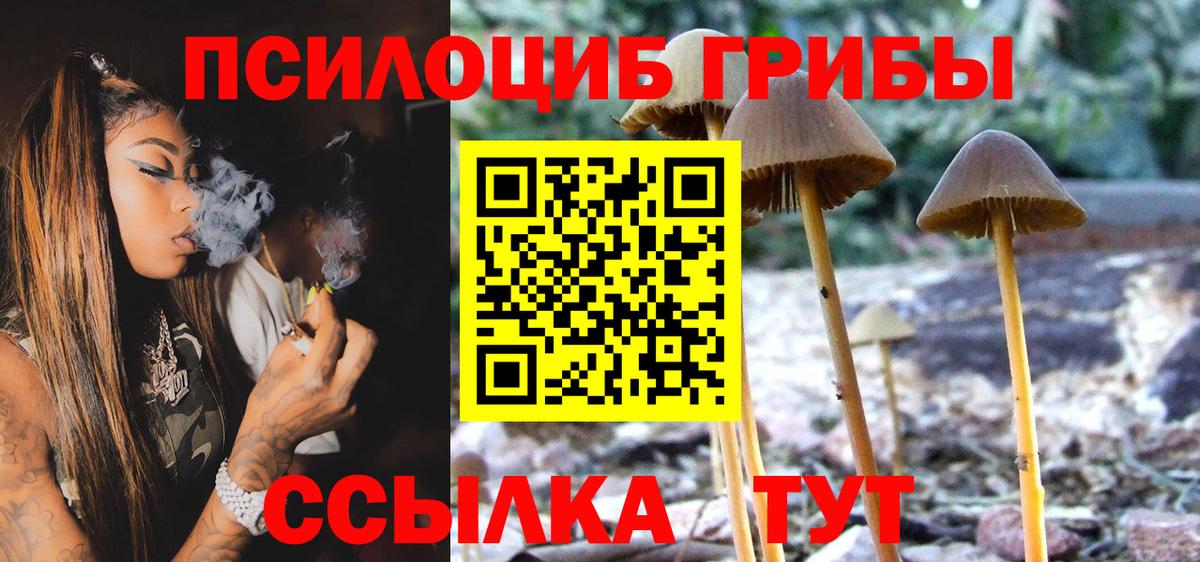 Галлюциногенные грибы прущие грибы Клинцы